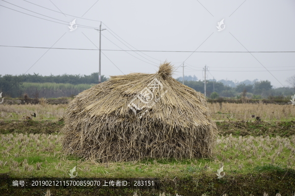 田园风光