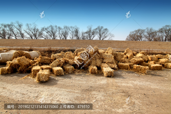 稻草包黑土地北大荒