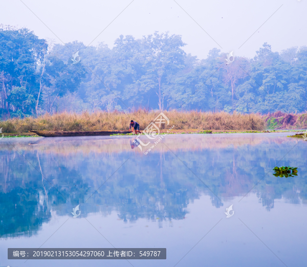 丛林河流