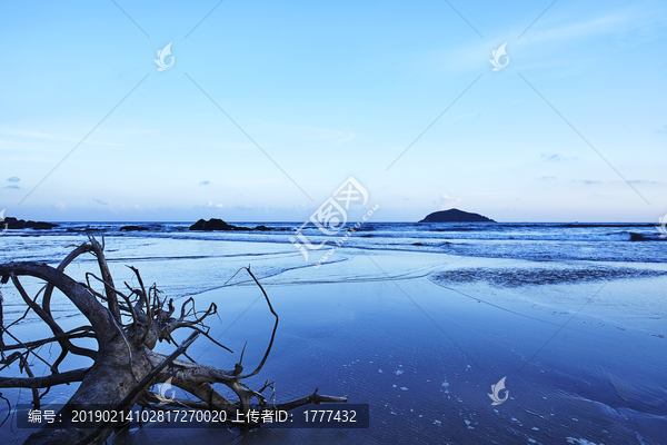 夜幕下蓝色海滩上的枯木
