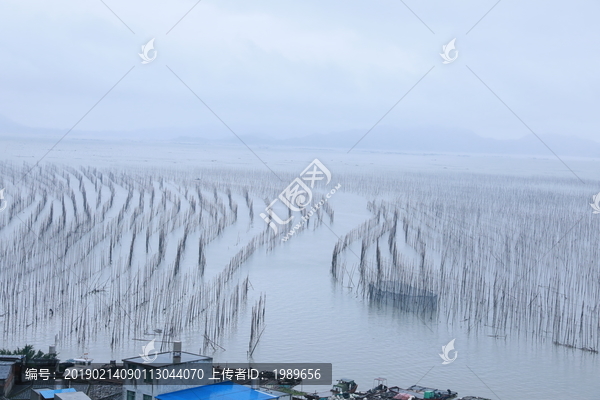 霞浦S弯