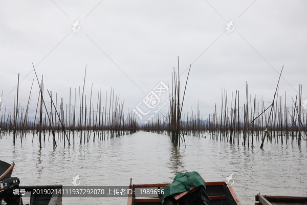 霞浦海上风光