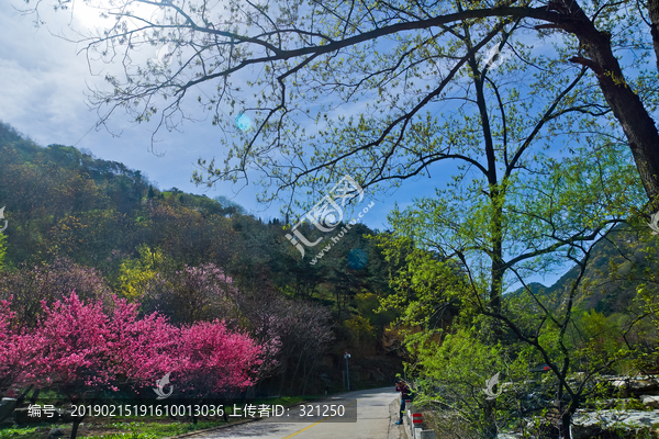 泰山桃花源风光