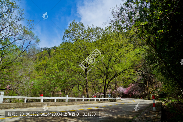 泰山桃花源风光