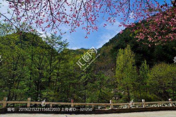 桃花峪风光