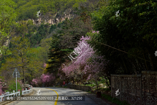 桃花峪风光