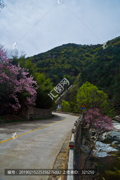 泰山桃花峪风光