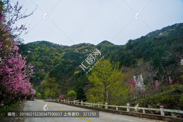 泰山桃花源风光