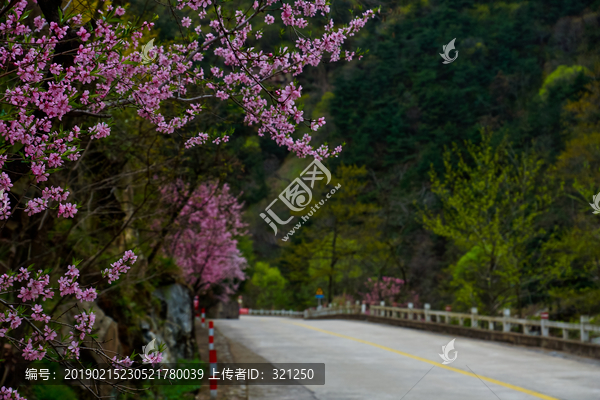 泰山桃花源