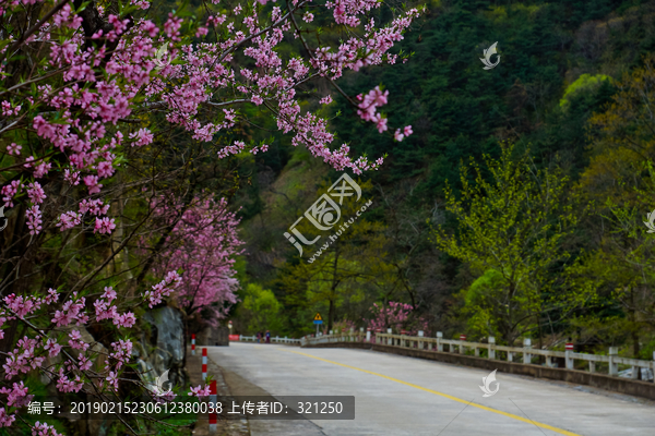 泰山桃花源风光