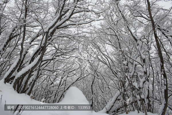 雪景