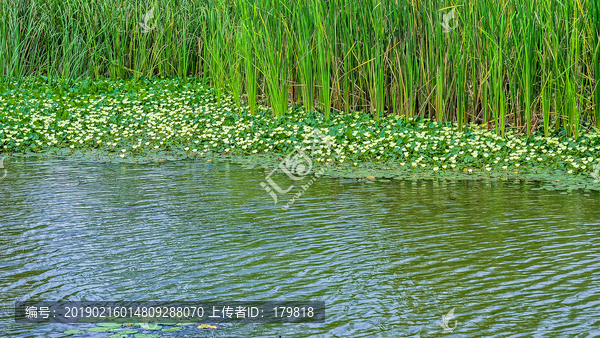 昆明海东湿地