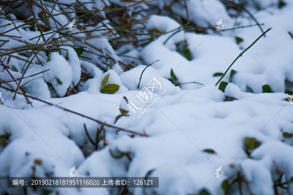 雪景