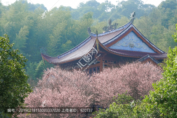 林阳寺