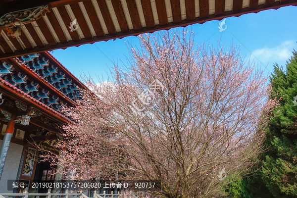 林阳寺