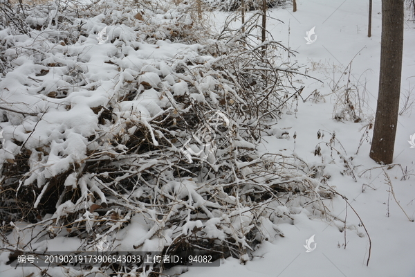 下雪