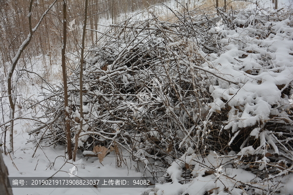 下雪了