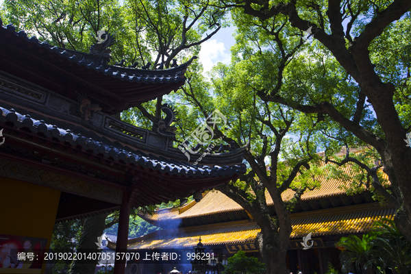 普陀山风景