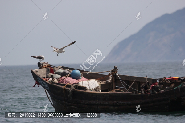 海景海鸥海洋游艇渔船渔业捕鱼