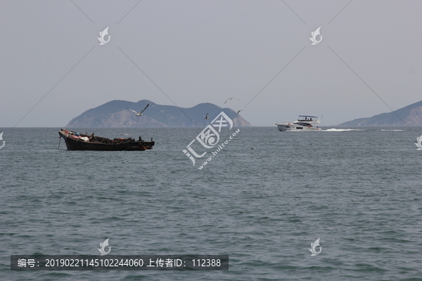 海景海鸥海洋游艇渔船渔业捕鱼