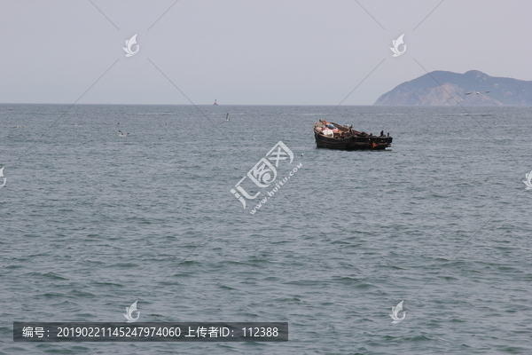 海景海鸥海洋游艇渔船渔业捕鱼