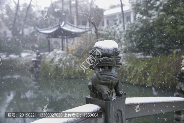 浙江金华茶花园雪景