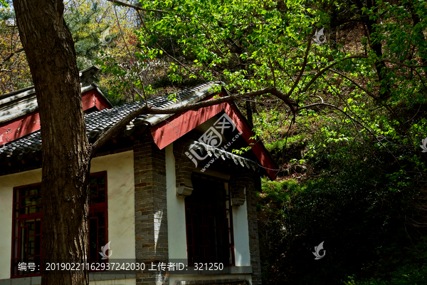 泰山桃花峪风光