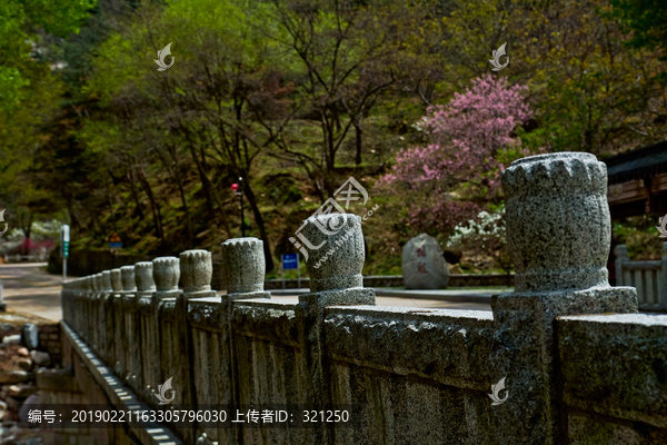 桃花峪风光