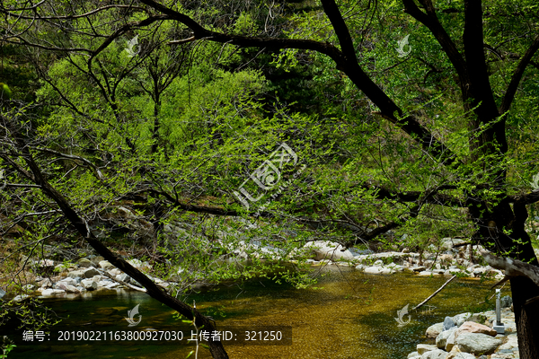 泰山桃花峪风光