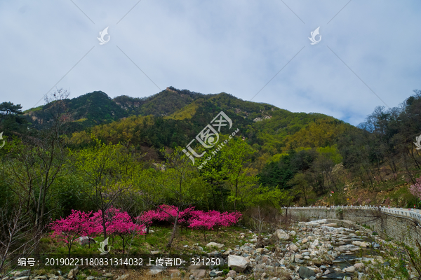 泰山桃花源风光