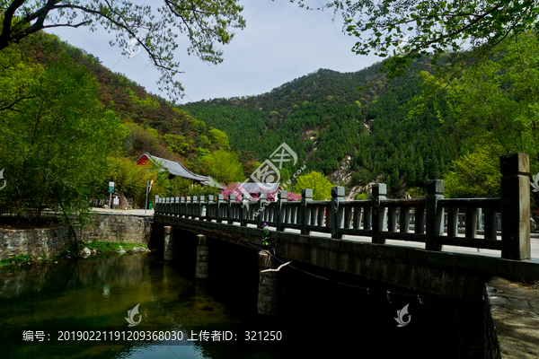 泰山桃花源风光