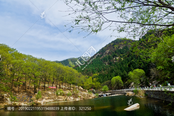 泰山桃花峪风光