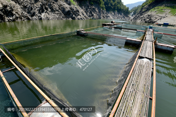 瀛湖网箱