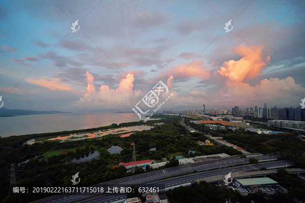 深圳湾后海红树林城市风光晨曦