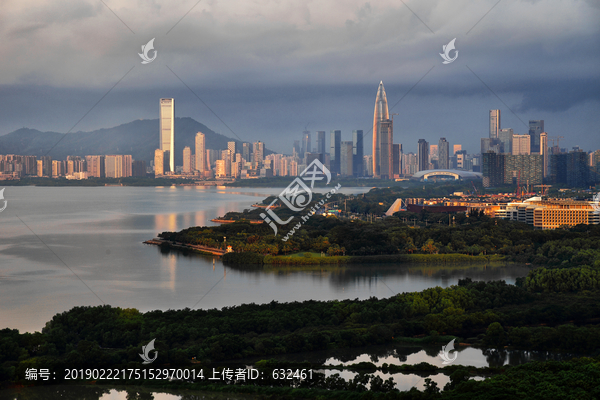 深圳湾后海红树林城市风光晨曦