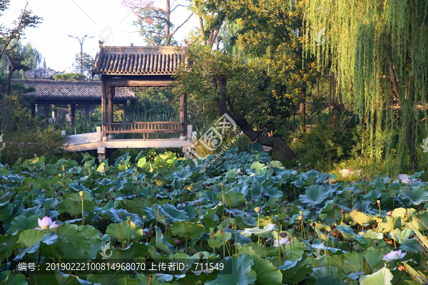 颍上尤家花园