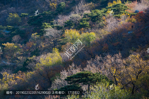 香山