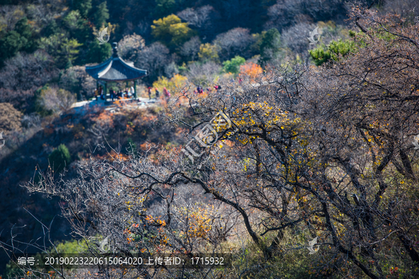 香山