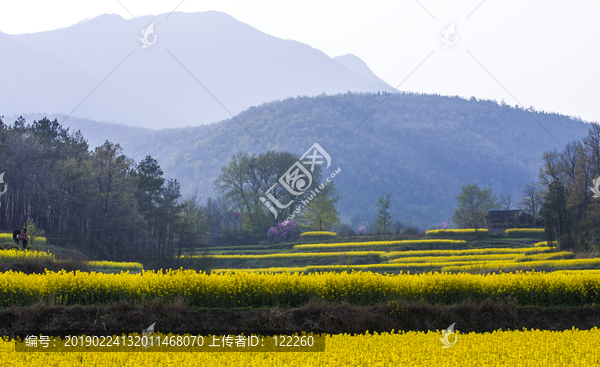 春暖花开