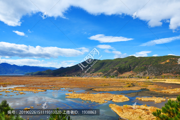 草海湿地