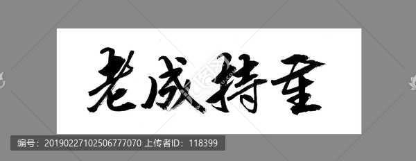 老成持重