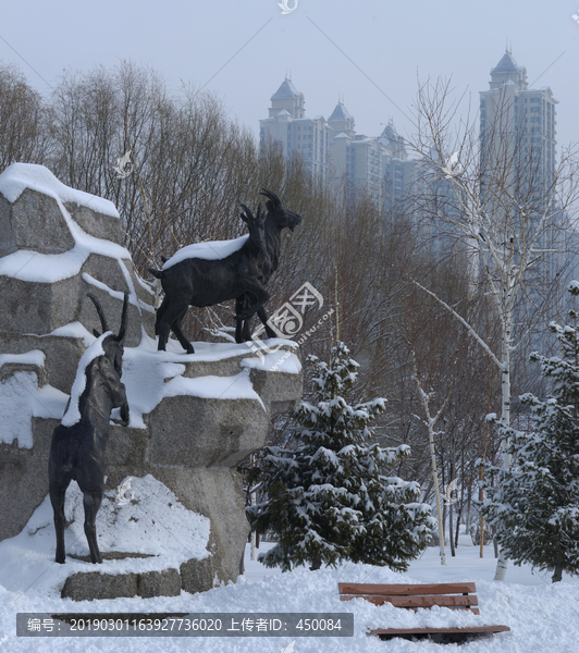 雪景