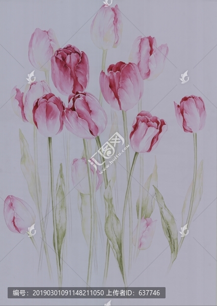 印花圖案