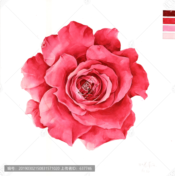 印花圖案