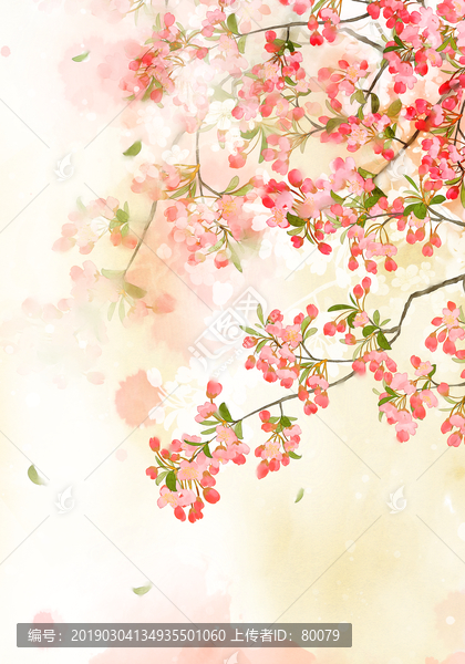 海棠花