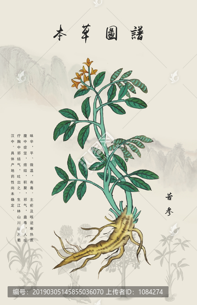 苦參