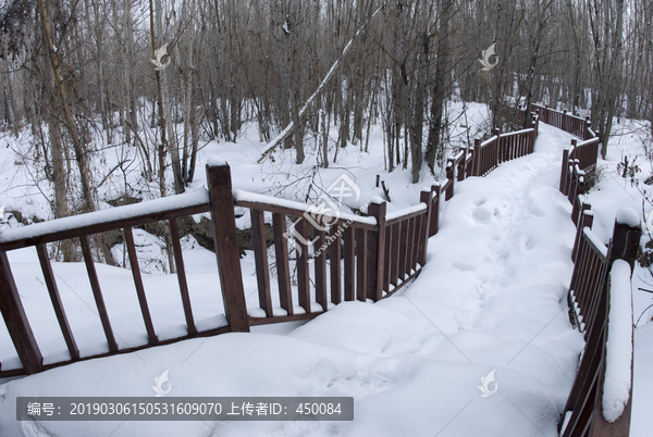 白雪