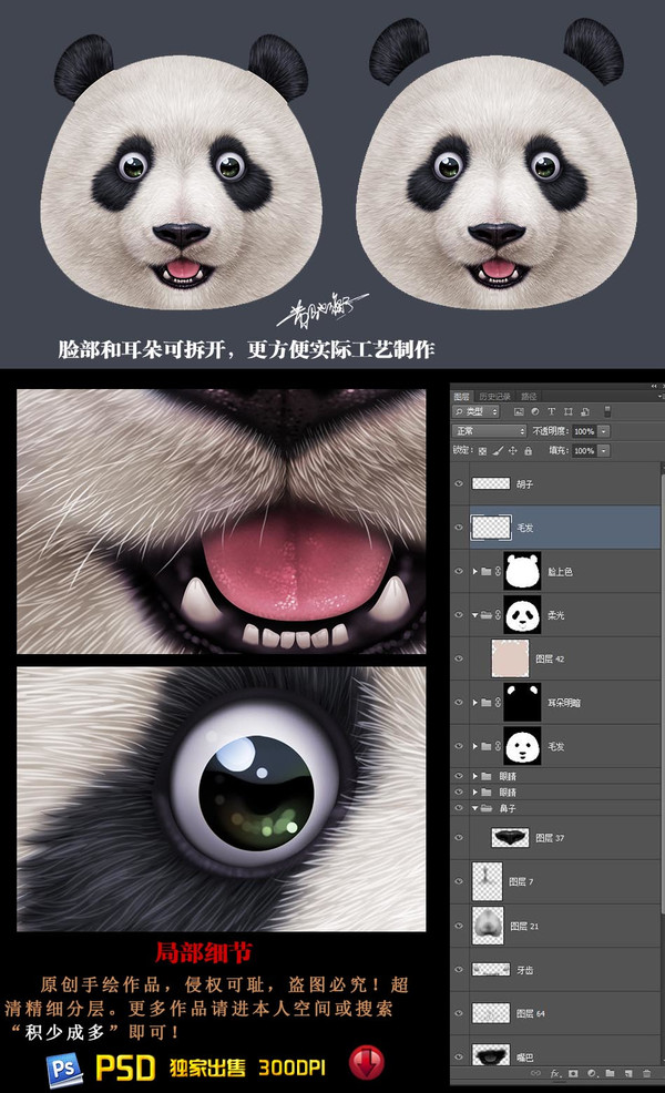 3D熊貓立體抱枕