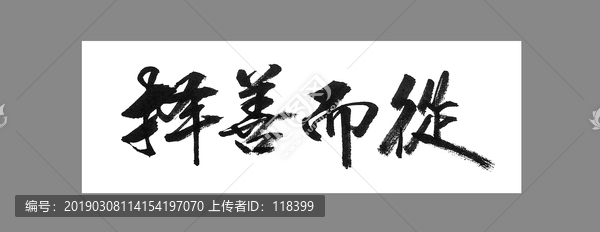 擇善而從