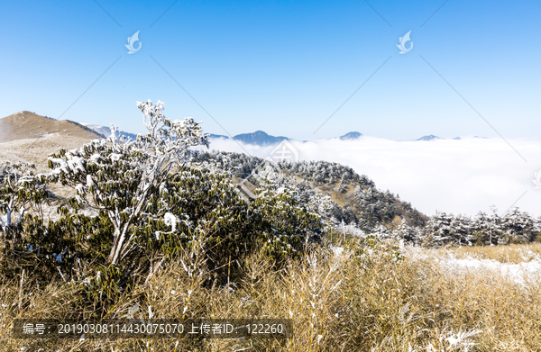 神农架雪景